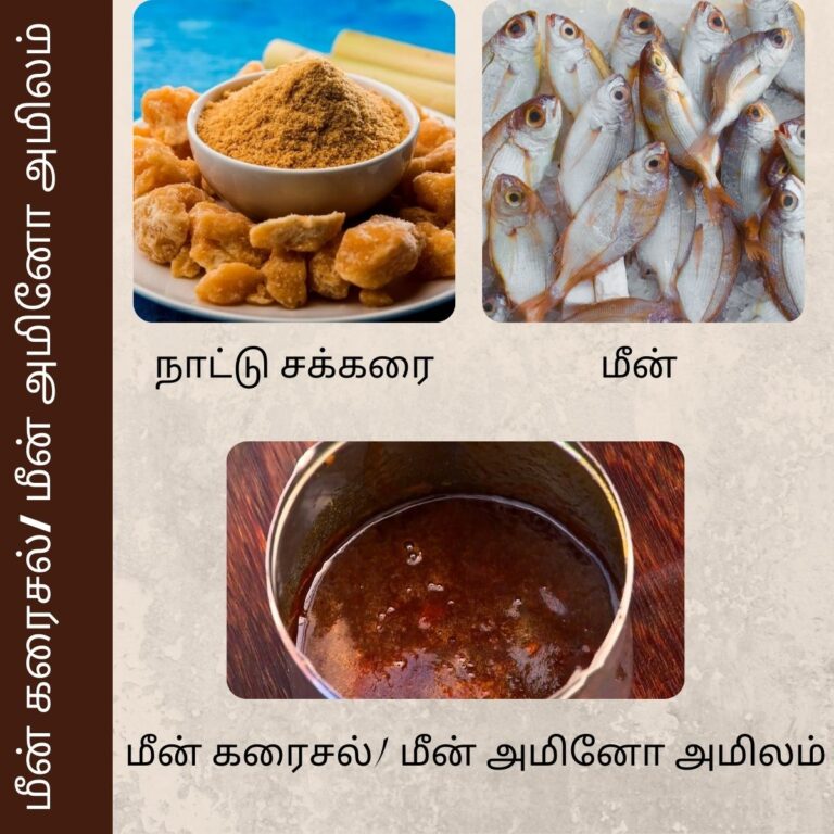 மீன் கரைசல்/ மீன் அமினோ அமிலம்